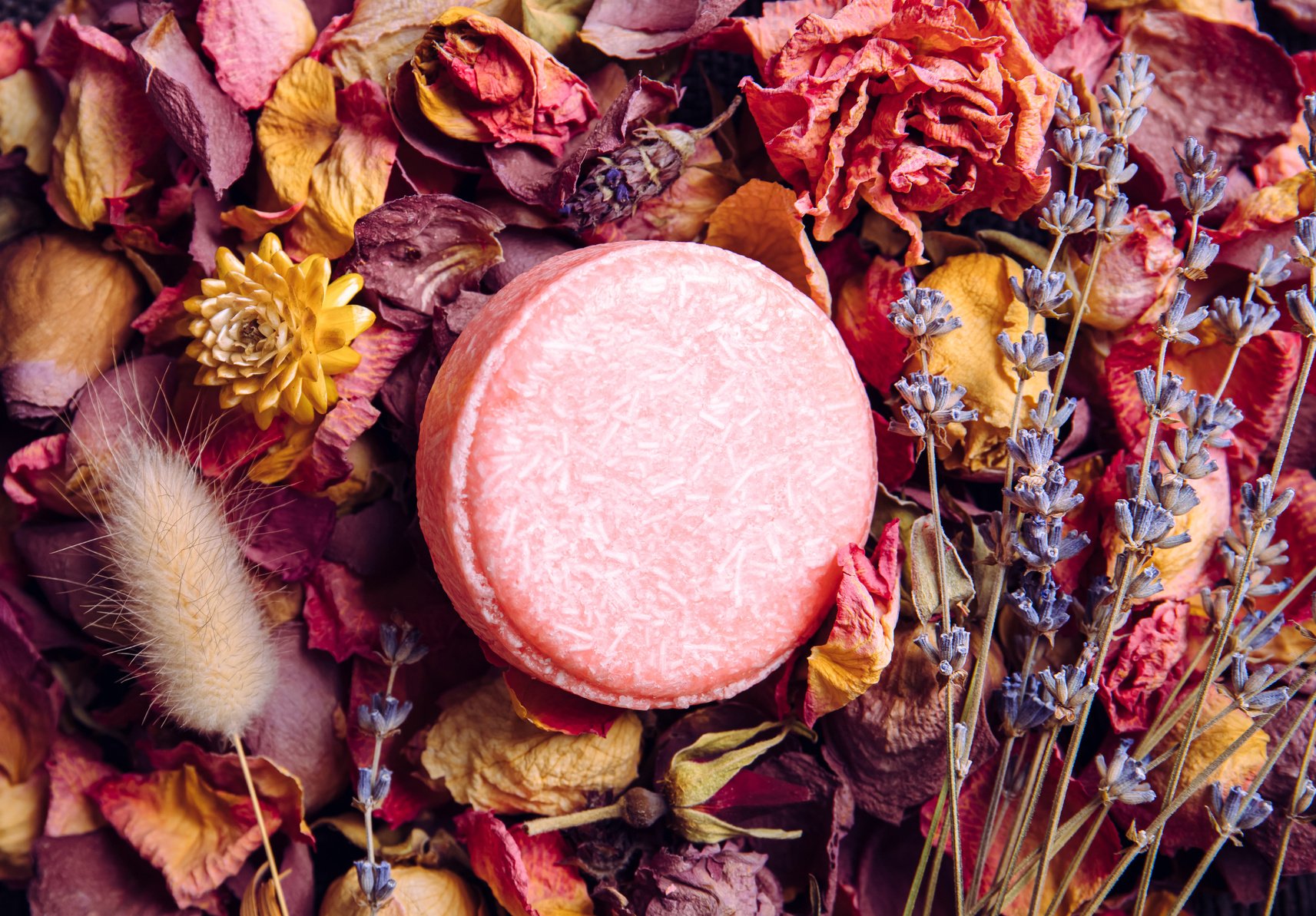 Pink solid shampoo, conditioner bar on dried flower petals.