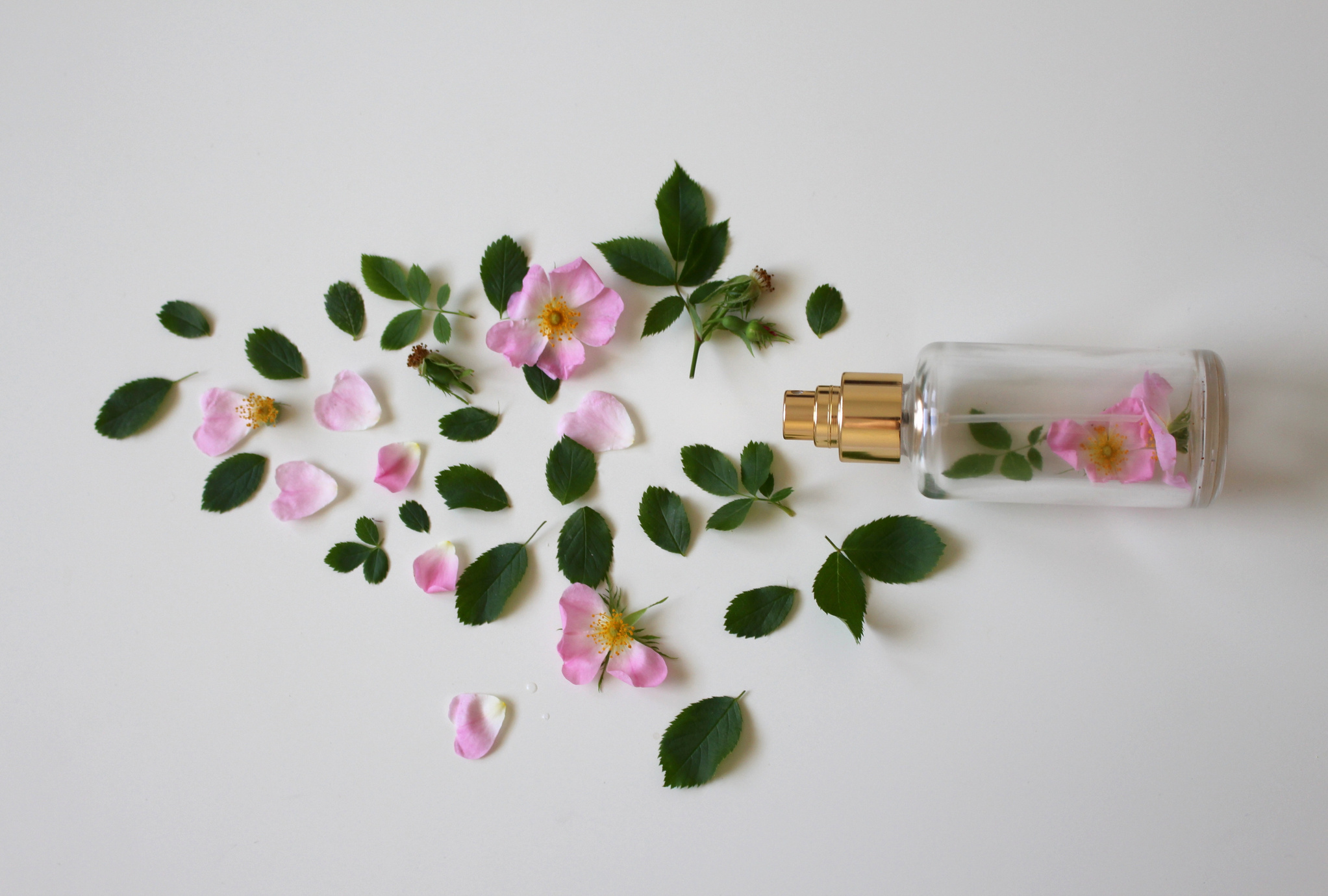 Perfume with Pink Roses